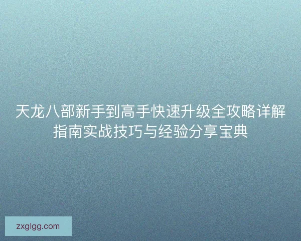 天龙八部新手到高手快速升级全攻略详解指南实战技巧与经验分享宝典