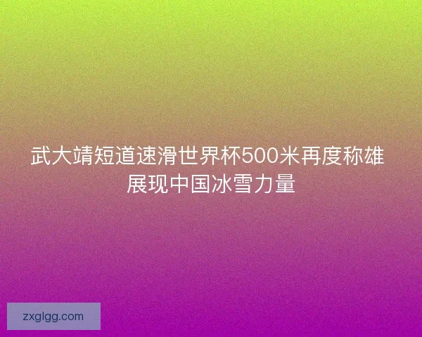 武大靖短道速滑世界杯500米再度称雄 展现中国冰雪力量